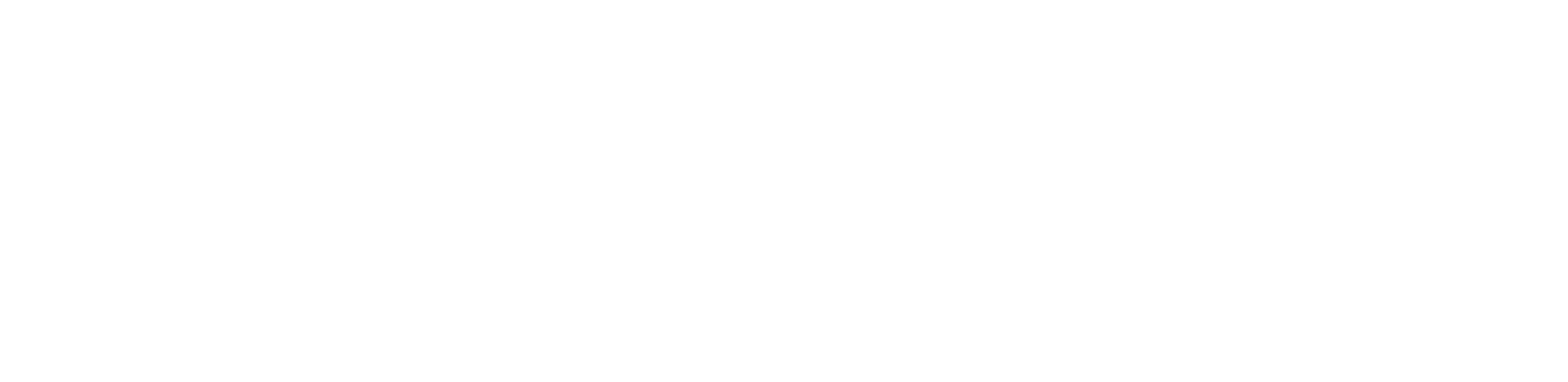 The Brock Institute